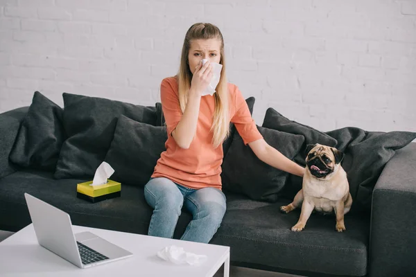 Rubia chica estornudando en tejido mientras sentado con pug perro en sofá - foto de stock