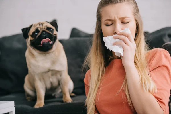 Enfoque selectivo de la mujer rubia alérgica al perro estornudos en el tejido cerca de linda mascota en casa - foto de stock