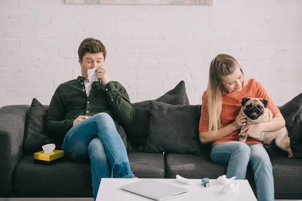 Чоловік алергія на собаку чхає в тканині біля жінки, сидячи з милою мопсом на дивані — стокове фото