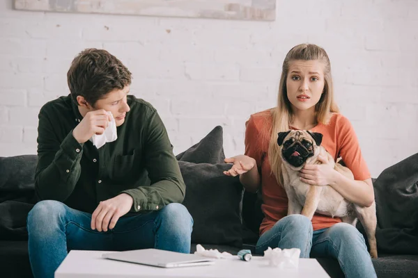 Hombre guapo alérgico al perro sosteniendo tejido y mirando a la chica con lindo pug en el sofá - foto de stock