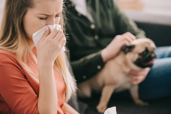 Enfoque selectivo de mujer rubia alérgica al perro estornudos cerca de hombre con pug - foto de stock