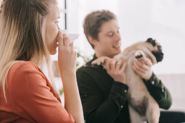 Foyer sélectif de l'éternuement femme allergique au chien regardant l'homme heureux avec carlin — Photo de stock