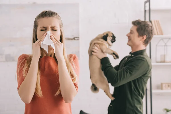 Селективное внимание блондинки с аллергией на чихание собаки в белых тканях рядом с веселым мужчиной, держащим мопса — стоковое фото