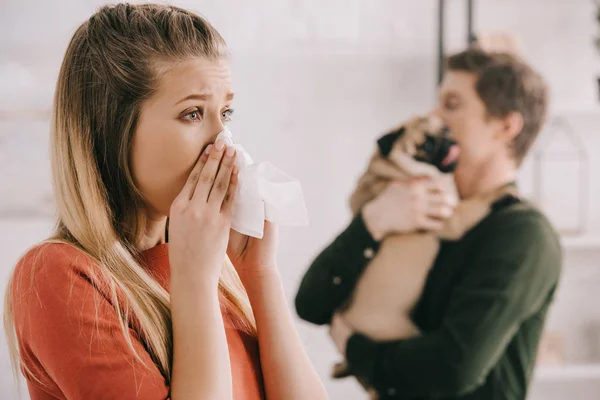 Selektiver Fokus der blonden Frau, die allergisch auf Hundeniesen in weißes Gewebe in der Nähe des Mannes reagiert, der einen Mops hält — Stockfoto