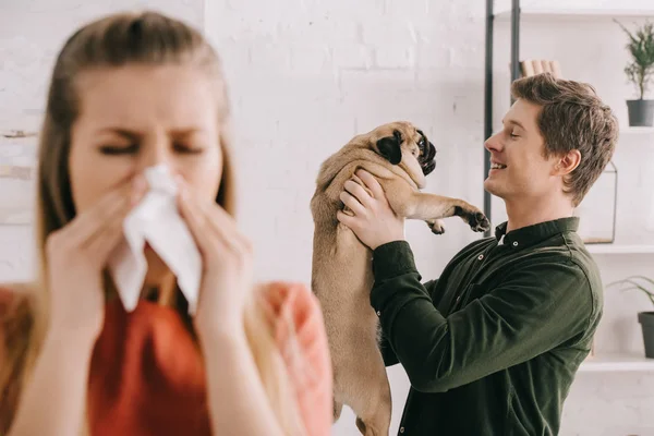 Foco seletivo de homem bonito alegre olhando para cão pug bonito perto de mulher espirrando em tecido — Fotografia de Stock