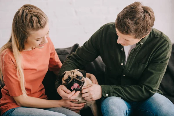 Щаслива блондинка і веселий чоловік торкається милого мопса собаки на дивані — стокове фото