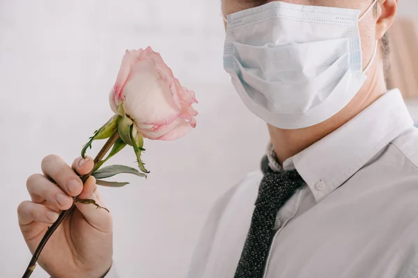 Vista recortada del hombre en traje y máscara médica sosteniendo rosa - foto de stock