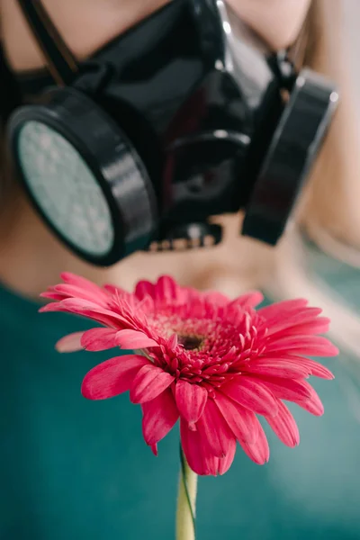 Ausgeschnittene Ansicht einer Frau mit Atemmaske in der Nähe einer rosa Gerbera-Blume — Stockfoto