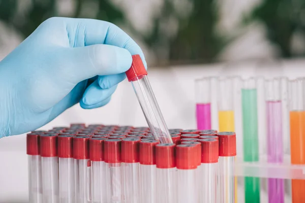 Vista recortada del médico en guante de látex sosteniendo tubo de ensayo de vidrio en laboratorio - foto de stock