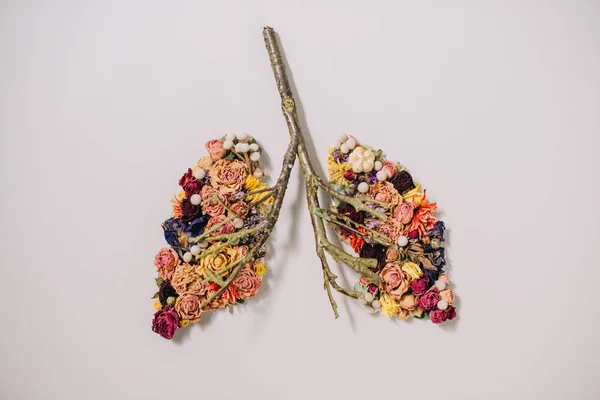 Vista superior de la composición floral con flores secas y ramitas en forma de pulmones en gris - foto de stock