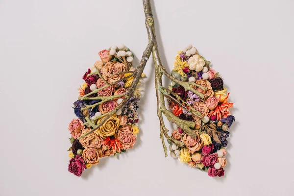 Draufsicht auf florale Komposition mit Blüten und Zweigen in Form von Lungen auf grau — Stockfoto