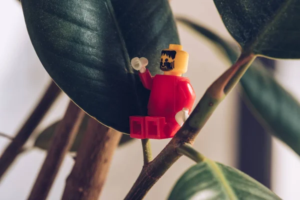 QUIIV, UCRÂNIA - MARÇO 15, 2019: foco seletivo da estatueta de lego vermelho com gesto de barba sentado na planta ficus — Fotografia de Stock