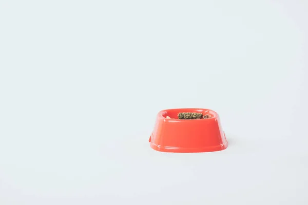 Tazón de plástico naranja con comida seca para mascotas sobre fondo gris con espacio para copiar - foto de stock