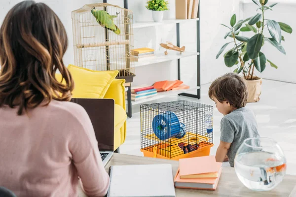 Back view of mother using laptop and cute son standing near pet cage — Stock Photo