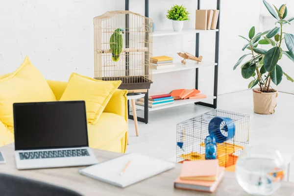 Wohnzimmer mit Laptop auf Tisch, gelbem Sofa, grünem Papagei in Vogelkäfig und Ablage — Stockfoto
