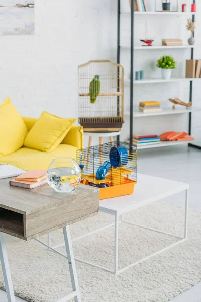Wohnzimmer mit orangefarbenem Käfig auf weißem Tisch, Gestell und grünem Papagei im Vogelkäfig — Stockfoto