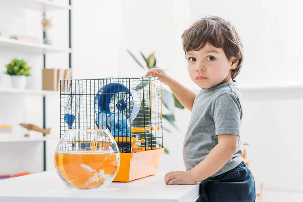 Cute boy standing near table with fish bowl and pet cage and looking at camera — Stock Photo