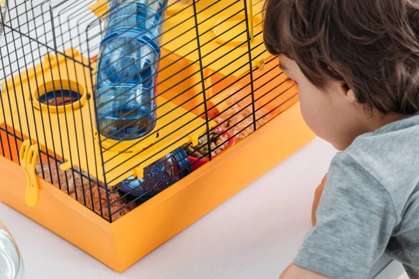 Vista parcial del niño mirando la jaula naranja para mascotas con túnel azul transparente - foto de stock