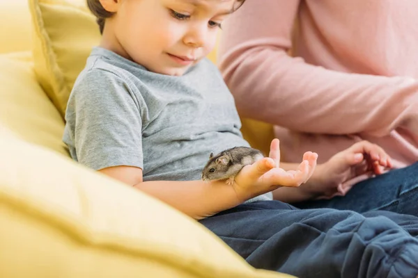 Foyer sélectif de mignon garçon tenant hamster à fourrure grise tout en étant assis près de la mère — Photo de stock