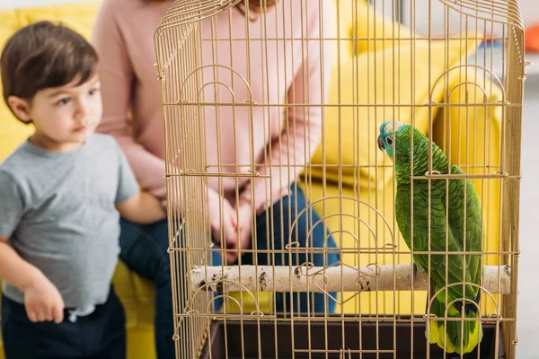 Частковий вид матері з симпатичним сином, дивлячись на зелений папуга в клітці птаха — стокове фото
