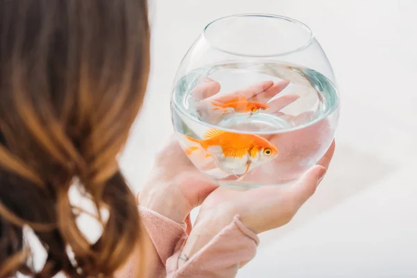 Vista trasera de la mujer sosteniendo acuario con peces de oro brillante - foto de stock