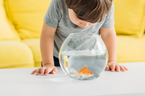 Adorabile ragazzo curioso guardando in acquario con pesci d'oro — Foto stock
