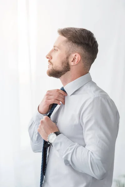 Guapo hombre de negocios tocando corbata mientras está de pie en casa - foto de stock