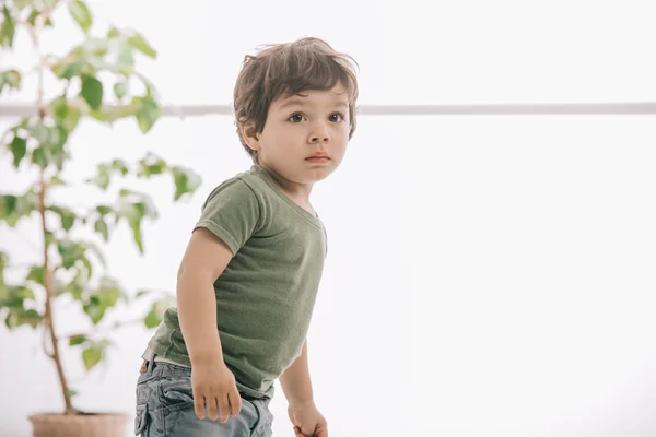 Милый маленький мальчик в зеленой футболке смотрит в сторону — стоковое фото