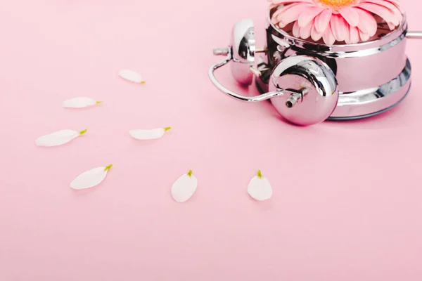 Vintage alarm clock with gerbera flower and petals on pink — Stock Photo