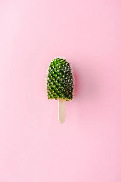 Top view of cactus plant on wooden stick On pink, ice cream concept — Stock Photo
