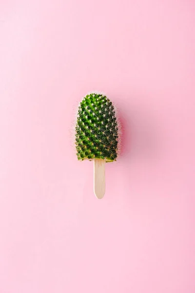 Vue du dessus de la plante de cactus sur bâton de bois Sur rose, concept de crème glacée — Photo de stock