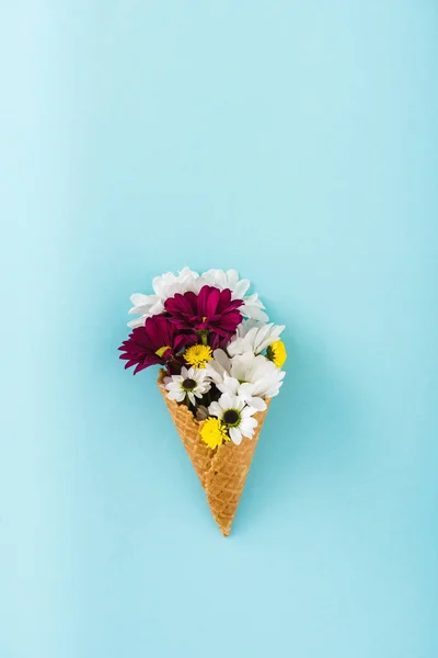 Vista superior de flores de crisantemo en cono de helado aislado en azul con espacio para copiar - foto de stock