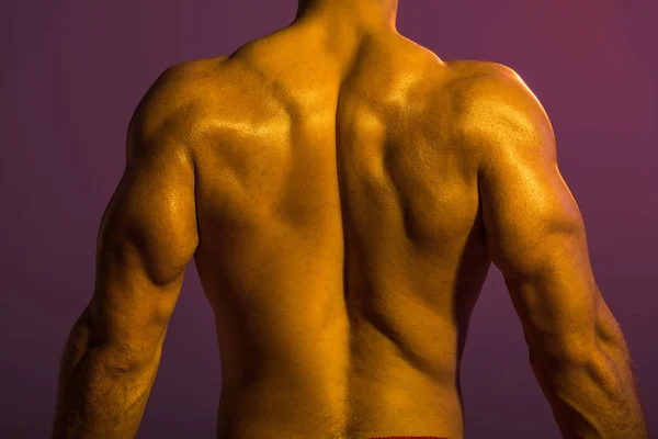 Vista posterior del hombre atlético sin camisa con torso muscular sobre fondo púrpura - foto de stock