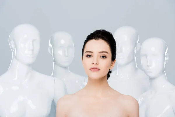 Hermosa mujer joven desnuda mirando a la cámara cerca de maniquíes aislados en gris - foto de stock