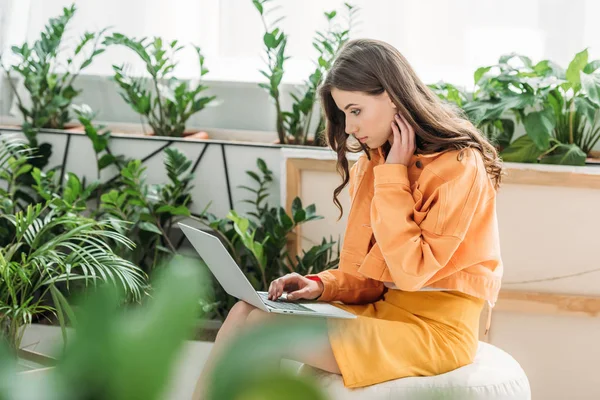 Selective focus of attractive young woman using laptop while sitting on pouf surrounded by green plants at home — Stock Photo