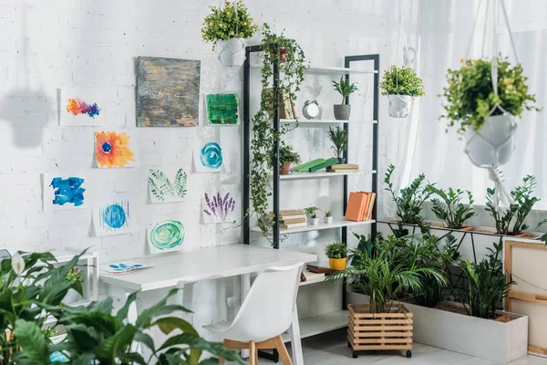 Простора кімната з стійкою, столом, стільцем, горщиками з зеленими рослинами і картинами на білій стіні — стокове фото