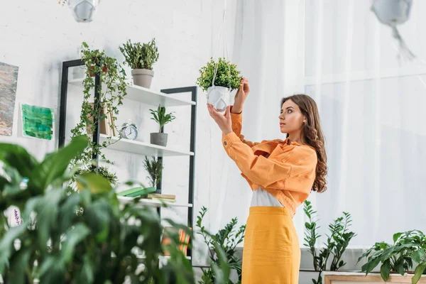 Selektiver Fokus einer hübschen jungen Frau, die in einem geräumigen Raum steht und einen Blumentopf berührt — Stockfoto