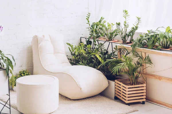 Branco macio chaise lounge e pufe no quarto com plantas verdes exuberantes — Fotografia de Stock