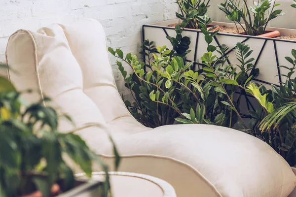 Selective focus of soft white chaise lounge and pouf surrounded by lush green plants — Stock Photo