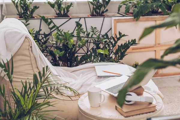 Selective focus of laptop, headphones and coffee cup on pouf near soft chaise lounge surrounded by green plants — Stock Photo