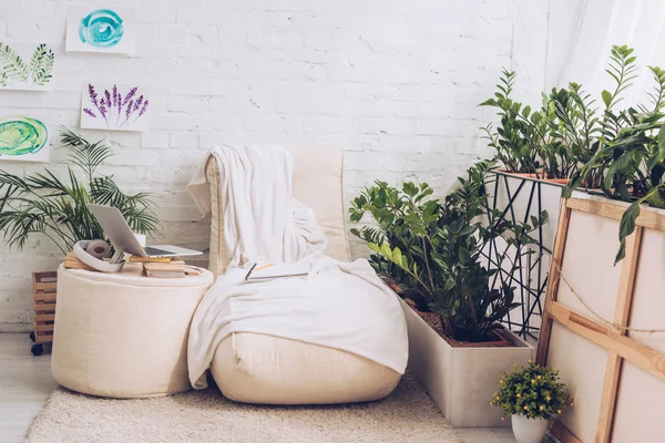 Suave chaise lounge blanco cerca de exuberantes plantas verdes en habitación espaciosa luz - foto de stock