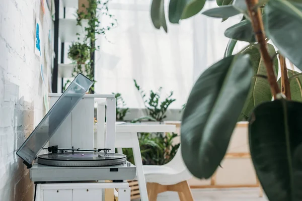 Selective focus of record player with vinyl disk in room with green plants — Stock Photo