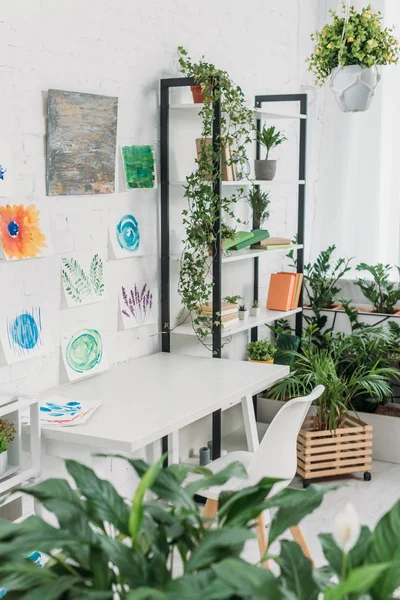 Foco seletivo de quarto espaçoso decorado com plantas verdes e pintura na parede branca — Fotografia de Stock