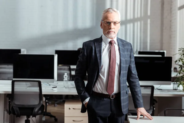 Homem de negócios bonito em óculos de pé com a mão no bolso no escritório — Fotografia de Stock