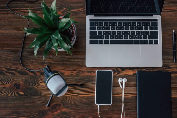 Draufsicht auf Laptop, Smartphone mit leerem Bildschirm, Mikrofon, Notizbuch, Topfpflanze und Kopfhörer auf Holztisch — Stockfoto