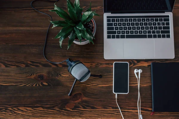 Ansicht von Laptop, Smartphone mit leerem Bildschirm, Kopfhörer, Notizbuch, Topfpflanze und Mikrofon auf Holztisch — Stockfoto