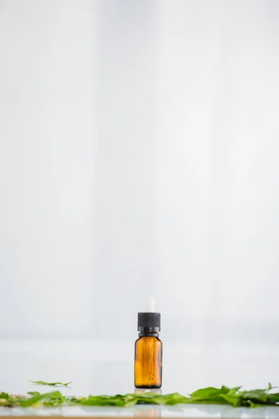 Glass bottles with hemp oil near green leaves on white background with copy space — Stock Photo