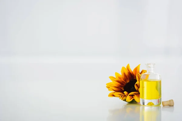 Sonnenblume in der Nähe Glasflasche mit Sonnenblumenöl auf weißem Hintergrund — Stockfoto