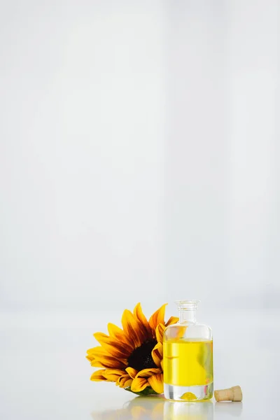 Sonnenblume in der Nähe Glasflasche mit Sonnenblumenöl auf weißem Hintergrund mit Kopierraum — Stockfoto