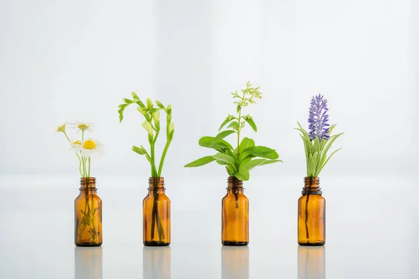 Camomila, freesia, salvia e flores de jacinto em garrafas de vidro sobre fundo branco — Fotografia de Stock